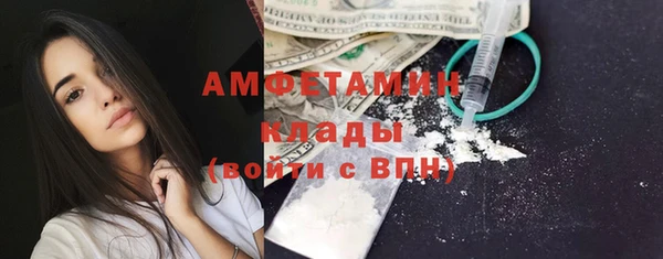 прущие грибы Алексин