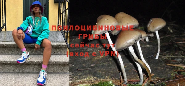 соль курить ск Алзамай